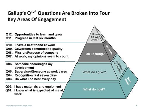 gallup employee engagement survey questions